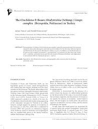 Attēlu rezultāti vaicājumam “Cinclidotus danubicus cells”