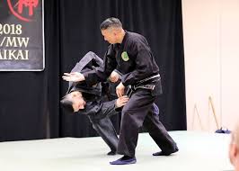 Image result for M-S-N Ninjutsu (Bujinkan) Club
