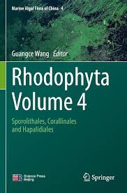 Attēlu rezultāti vaicājumam “Rhodophyta”