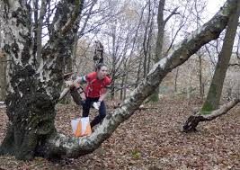 Image result for Walton Chasers Orienteering Club