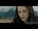 Where'd You Go? Bella Edward