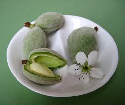 Image result for fresh green almonds