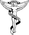 Houston Chiropractors and Houston Chiropractics: Chiropractic ...