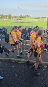 Image result for Silverbridge Harps Gac