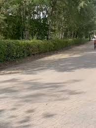 Image result for Marlborough and District Tri-Club