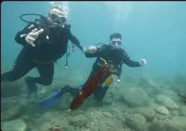 Image result for Meadurst Sub-Aqua Club