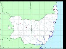 Attēlu rezultāti vaicājumam “Isopaches bicrenatus”