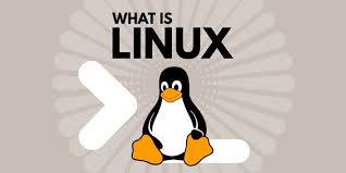 Image result for linux