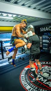 Image result for BERKSHIRE TIGERS THAI