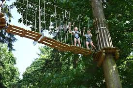 Image result for Go Ape! Thetford