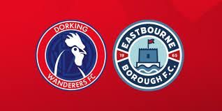 Image result for Dorking Wanderers F C