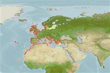 Image result for Liza ramada