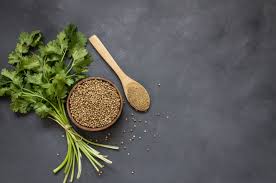 Image result for Koriander