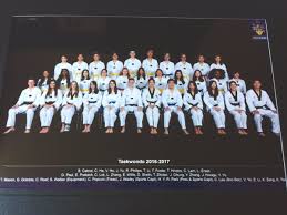 Image result for Surrey Taekwondo