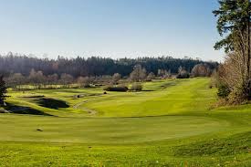 Image result for Bellingham Golf Club