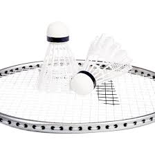 Image result for Shuttlecocks Badminton Club