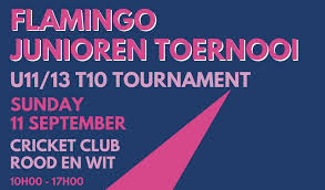 Image result for Flamingo Cricket Club