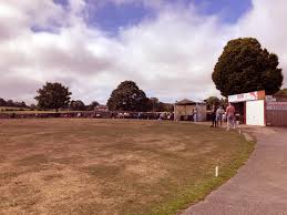 Image result for The Paddock Cricket Club