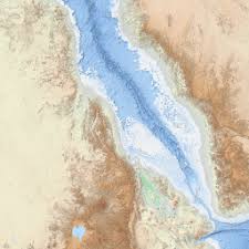 Image result for Glaucostegus cemiculus