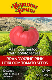 Afbeeldingsresultaat voor brandywine cherry tomato