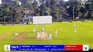 Image result for West Herts Cricket Club