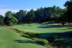 Image result for Gosfield CC