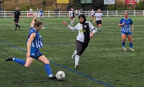 Image result for Epsom Eagles Football Club