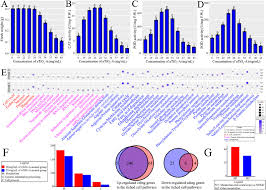 Attēlu rezultāti vaicājumam “Physarum melleum stalked”
