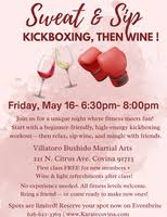 Image result for Villatoro Bushido Martial Arts