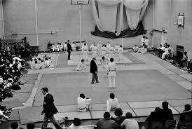 Image result for Exmouth Vikings Judo Club