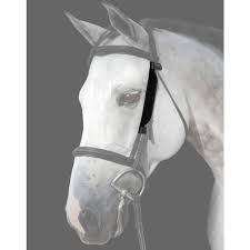 Image result for scheuklappen