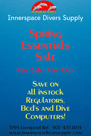 Image result for innerspace divers