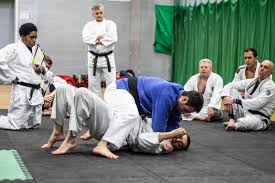 Image result for AAZENTAI JU JITSU