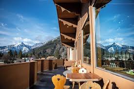 Image result for Enzian