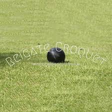 Image result for Reigate Priory Croquet Club