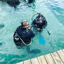 Image result for Blue Water Diving