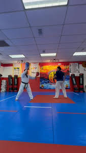Image result for Arlington Martial Arts Academy