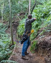 Image result for Row Brow Field Archery