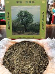 Image result for 2003早春