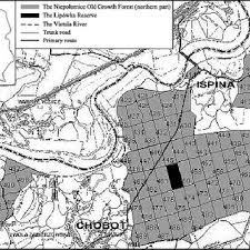 Attēlu rezultāti vaicājumam “Stemonitopsis subcaespitosa spores”