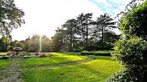 Image result for Crawley Croquet Club