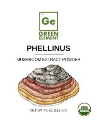 Attēlu rezultāti vaicājumam “Phellinus”