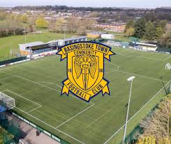 Image result for Basingstoke Demons Floorball Club