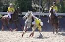 horseball