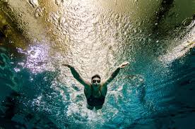 Image result for Swimming