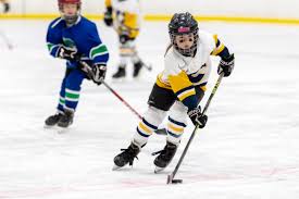 Image result for Adur Skater Hockey Club