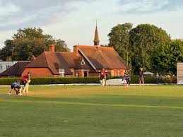 Image result for Ickwell Cricket Club