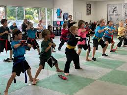 Image result for Action Karate