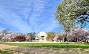 Image result for Blossom Way Sports & Social Club