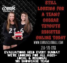 Image result for Chesterfield Cobras Volleyball Club